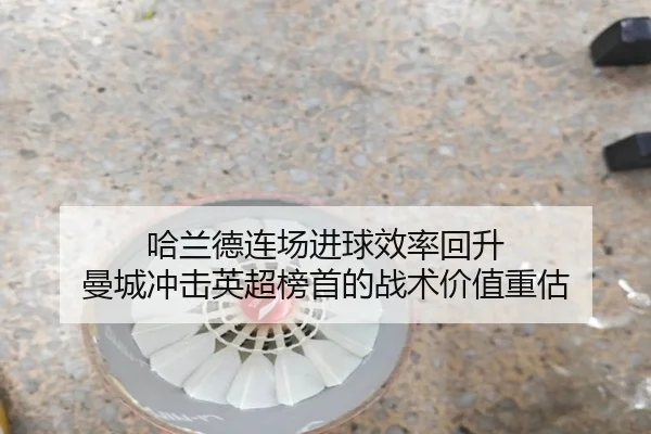哈兰德连场进球效率回升 曼城冲击英超榜首的战术价值重估 - DAFA.COM