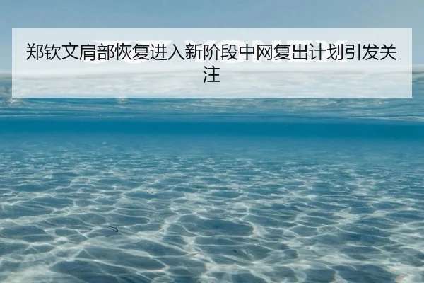 郑钦文肩部恢复进入新阶段中网复出计划引发关注 - DAFA.COM