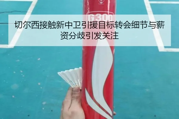 切尔西接触新中卫引援目标转会细节与薪资分歧引发关注 - DAFA.COM